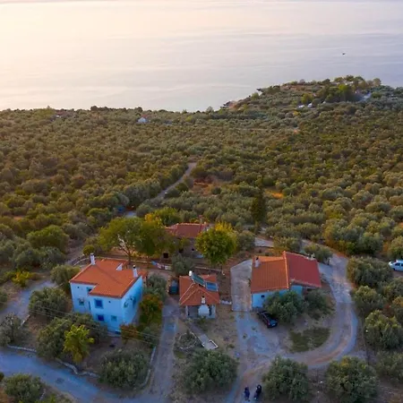 Holiday home Four Independence By The Sea *