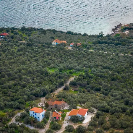 Six Independent By The Sea * Glífa