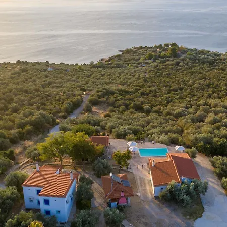 Six Independent By The Sea